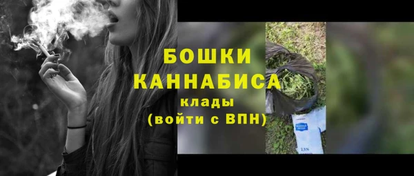 индика Новозыбков