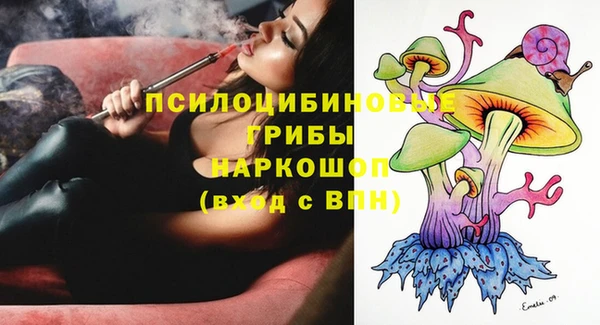 стаф Абаза