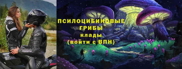 крисы Абинск